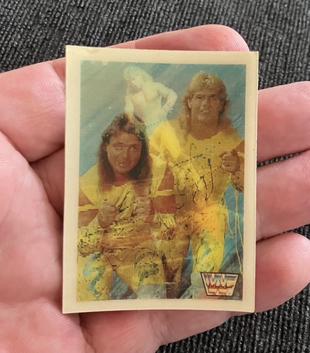 Wwf hasbro rockers summerslam - rockers,
