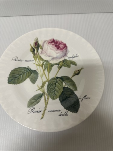 Breakfast cup saucer - saucer, only