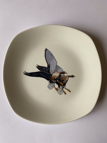 Midwinter peter scott wild - peter,