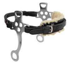 Shires Blenheim English