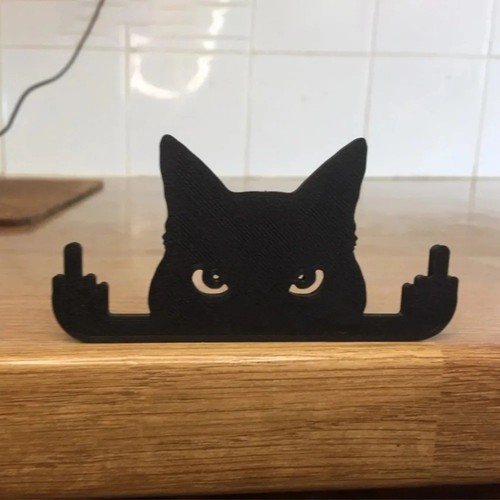 Funny black cat fence - funny,
