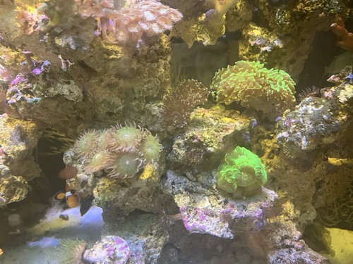 Marine tank breaking closure - marine,