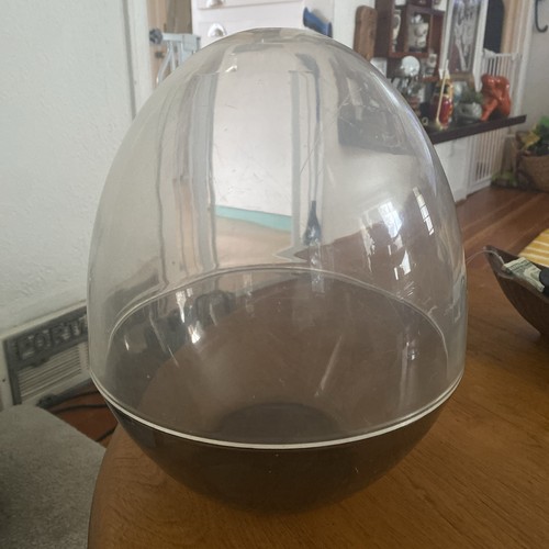 Vintage tabletop terrarium - vintage, egg