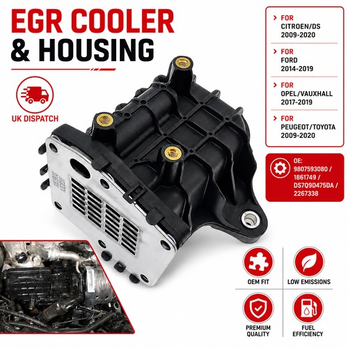 Egr valve module - cooler, for