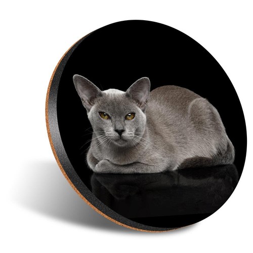 Round coaster 12cm burmese - round,