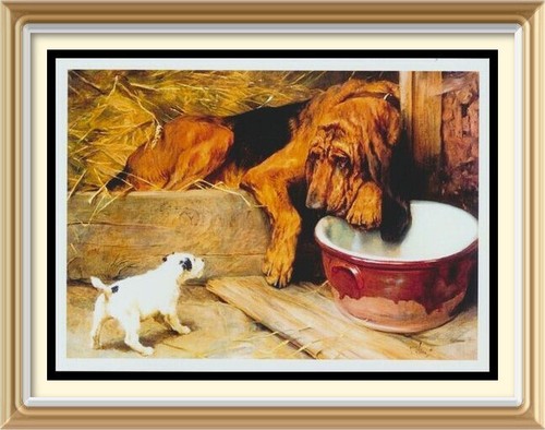 Cool dignity dogs - cool,