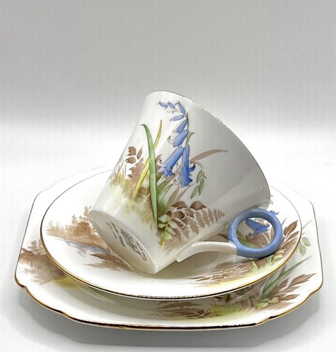 Shelley bone china trio - china, /