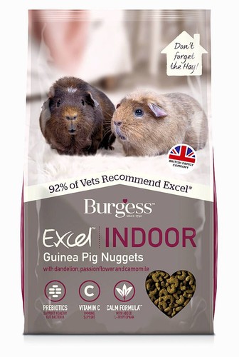 Burgess excel indoor guinea - excel,