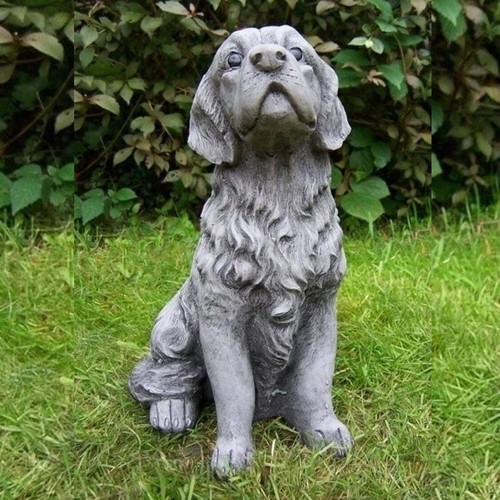 Small golden retriever type - small,