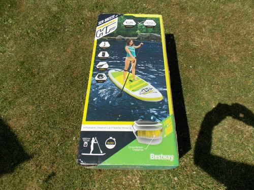 Bestway 10ft hydro force - bestway, 6"