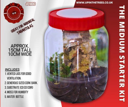 Enclosure spiderling tarantula - spiderling,