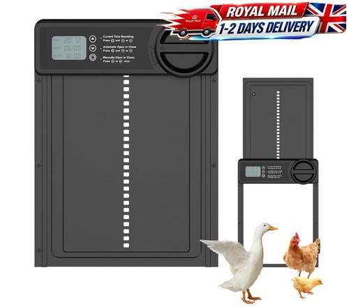Automatic chicken coop door - chicken,
