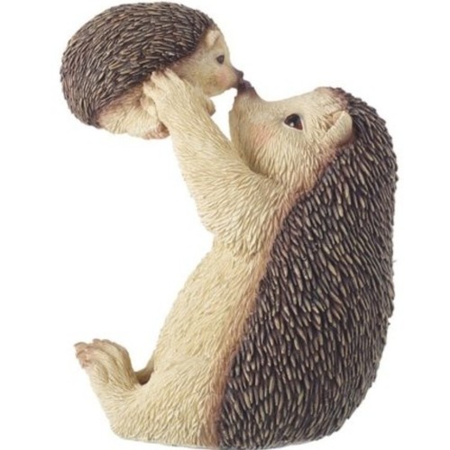 Hedgehog mother and - hedgehog,