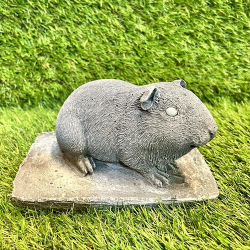 Concrete guinea pig stand - pig, on