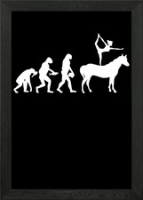 Horse Vaulting Evolution