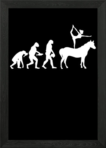 Horse vaulting evolution - horse,