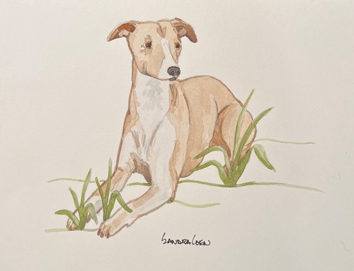 Whippet original watercolor - original,