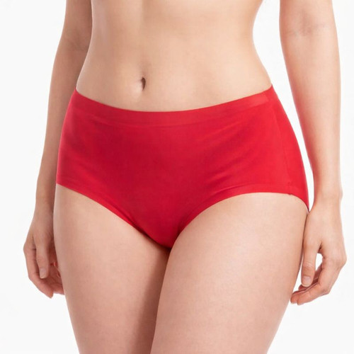 Ladies panties ice - panties,
