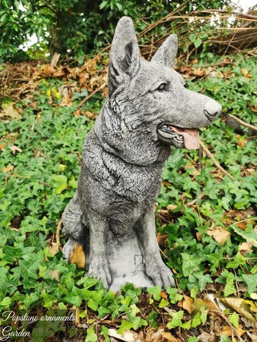 German shepherd dog - shepherd,
