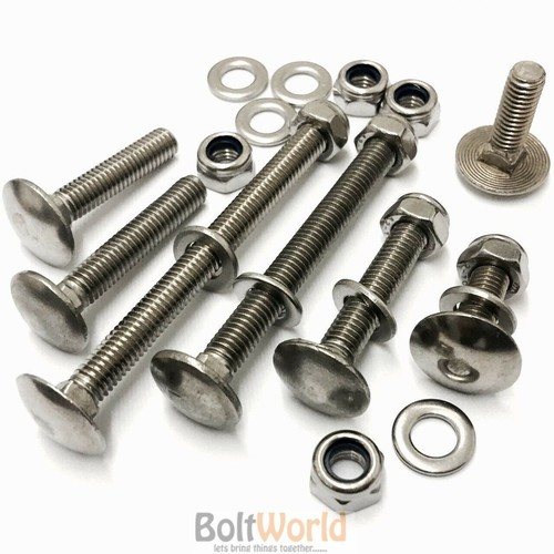 M10 stainless steel - steel, cup