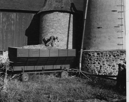 8x10 1950s farm - 1950s,