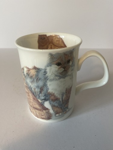Roy kirkham cats - roy,