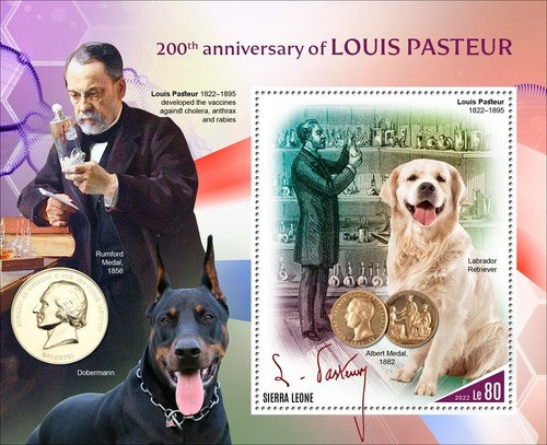 Louis pasteur dogs - pasteur,