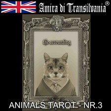 Animal rights human wild pets