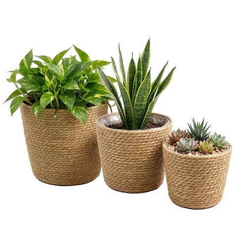 Wicker plant pots - pots, 3