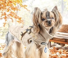 Puppia Wilkes Waterproof Choke