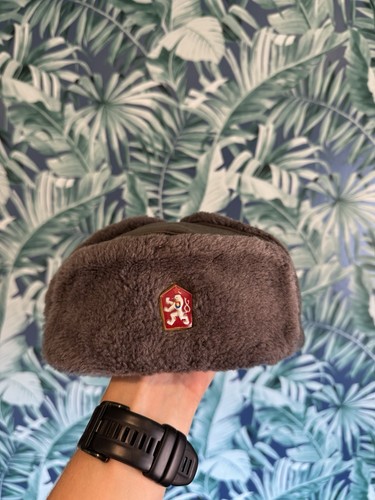Rare soviet - lion, badge)