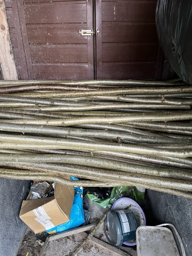 Hazel walking stick - hazel,