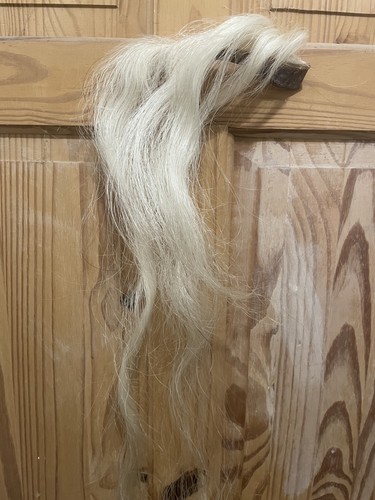 Blonde natural horse - natural, mane