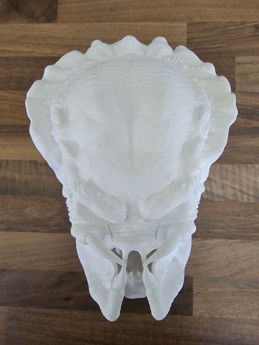 Childs predator mask for - predator,