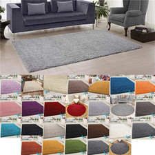 Fluffy Rugs Anti-Slip Large