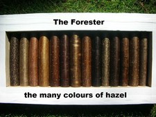 The FORESTER,  SEASONED & STRAIGHTENED HAZEL & BLACKTHORN WALKING STICK SHANKS