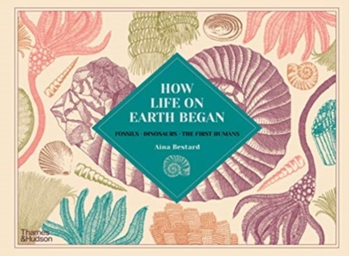 How life earth began by - began,