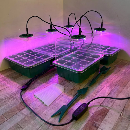 Plant propagator seed tray set - seed,