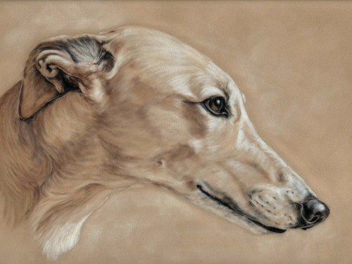 Original greyhound art - art, print