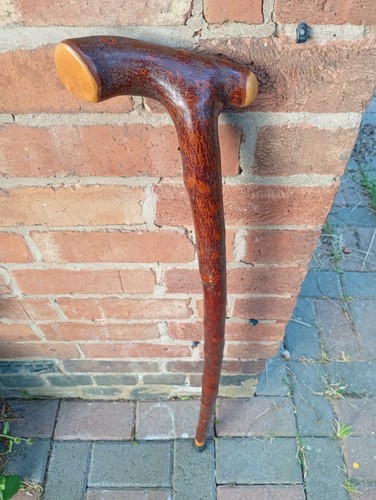 Blackthorn walking stick - walking,