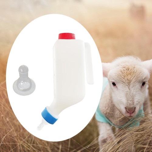 Sheep milk bottle lamb nursing - bottle,