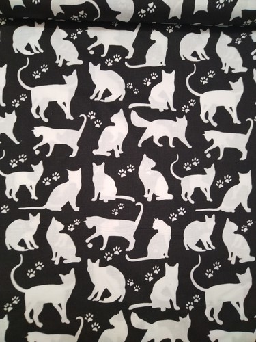 Big white cats black - cats, on