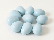 10 X CANARY DUMMY EGGS FOR