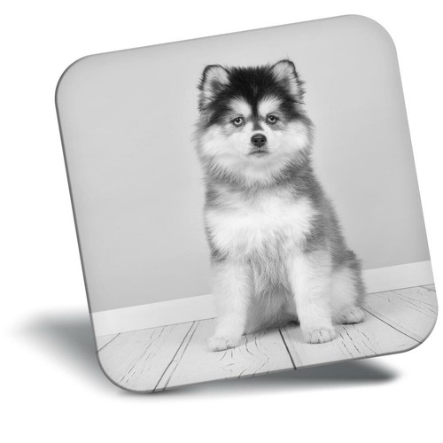 Awesome fridge magnet - fridge,