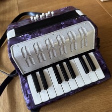 17 Key 8 Bass Piano Accordion Musical Instrument For Beginners Students (Green)