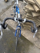 Men barracuda racing bike - barracuda,