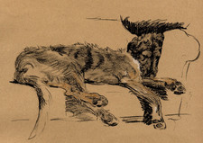 IRISH WOLFHOUND DOG GREETING