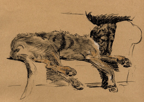 Irish wolfhound dog greeting - irish,
