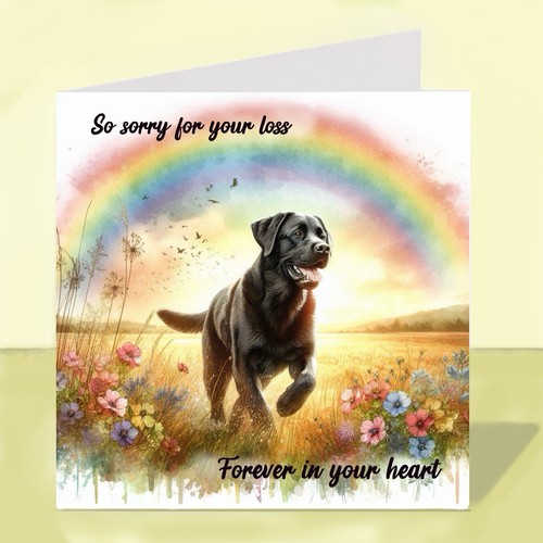 Black labrador dog - labrador,