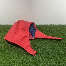 Teddy Ruxpin Bear Flying